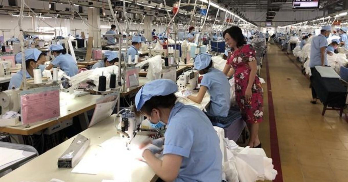 Vietnam opens garment factory in An Giang province with Dutch investment