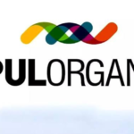 Vipul Organics announces Q1 results for FY 2023-2024