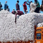 The reduction of import duties on ELS cotton is welcomed by the Indian textile sector