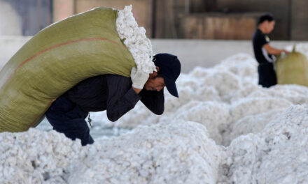Outreach and engagement is essential for the cotton sector