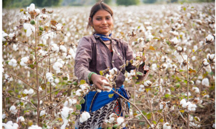 USDA forecasts 3% growth in global cotton consumption