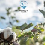 AbTF expands to India through Regenerative Cotton Standard