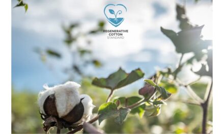 AbTF expands to India through Regenerative Cotton Standard