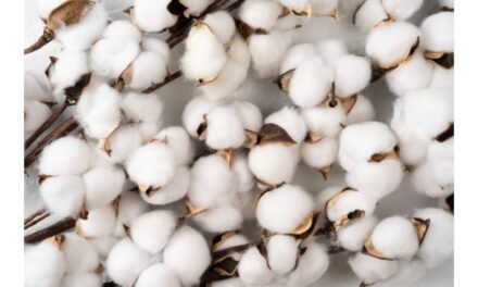 CAI nationwide meeting on Indian Cotton and Textile Industry