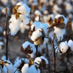 Bangladesh and Vietnam will lead the growth in cotton consumption in the next decade