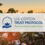 U.S. Cotton Trust Protocol expands enrollment by 35% in 2024